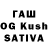 A-PVP VHQ Vahid Saydumov